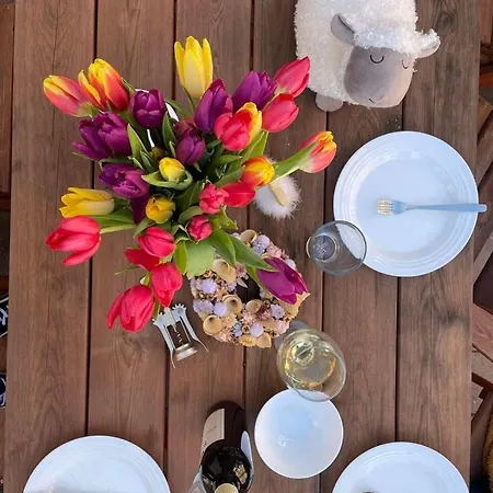 Voeroesko -elnoeki Szauna Es Jakuzzi Hasznalattal 3* 巴拉顿诺尔马迪